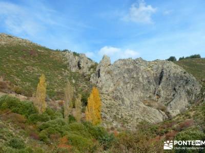 La Dehesa Bonita - Abedular de Somosierra_ excursiones fin de semana